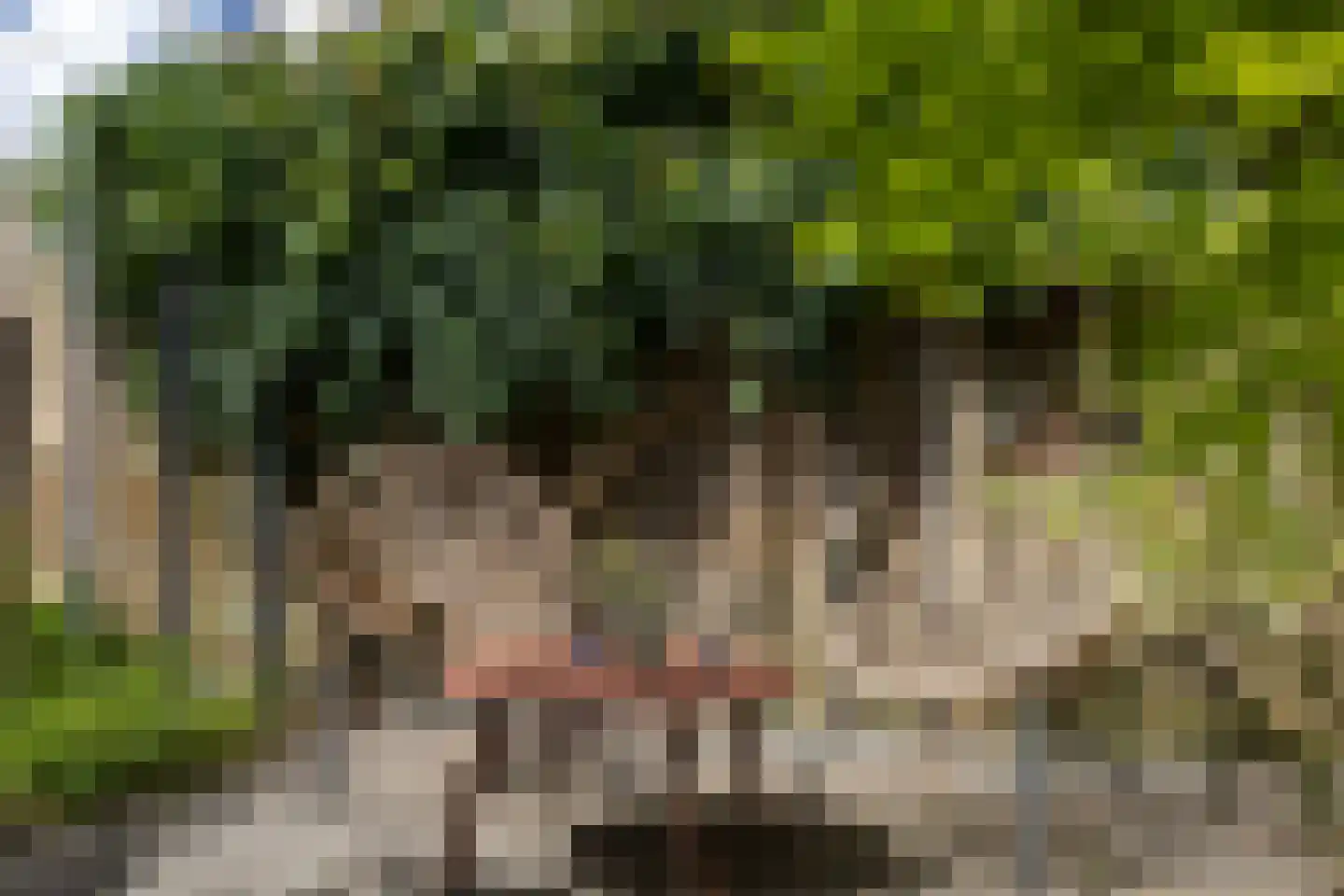Zandkamp 101 Hoogland thumbnail 34