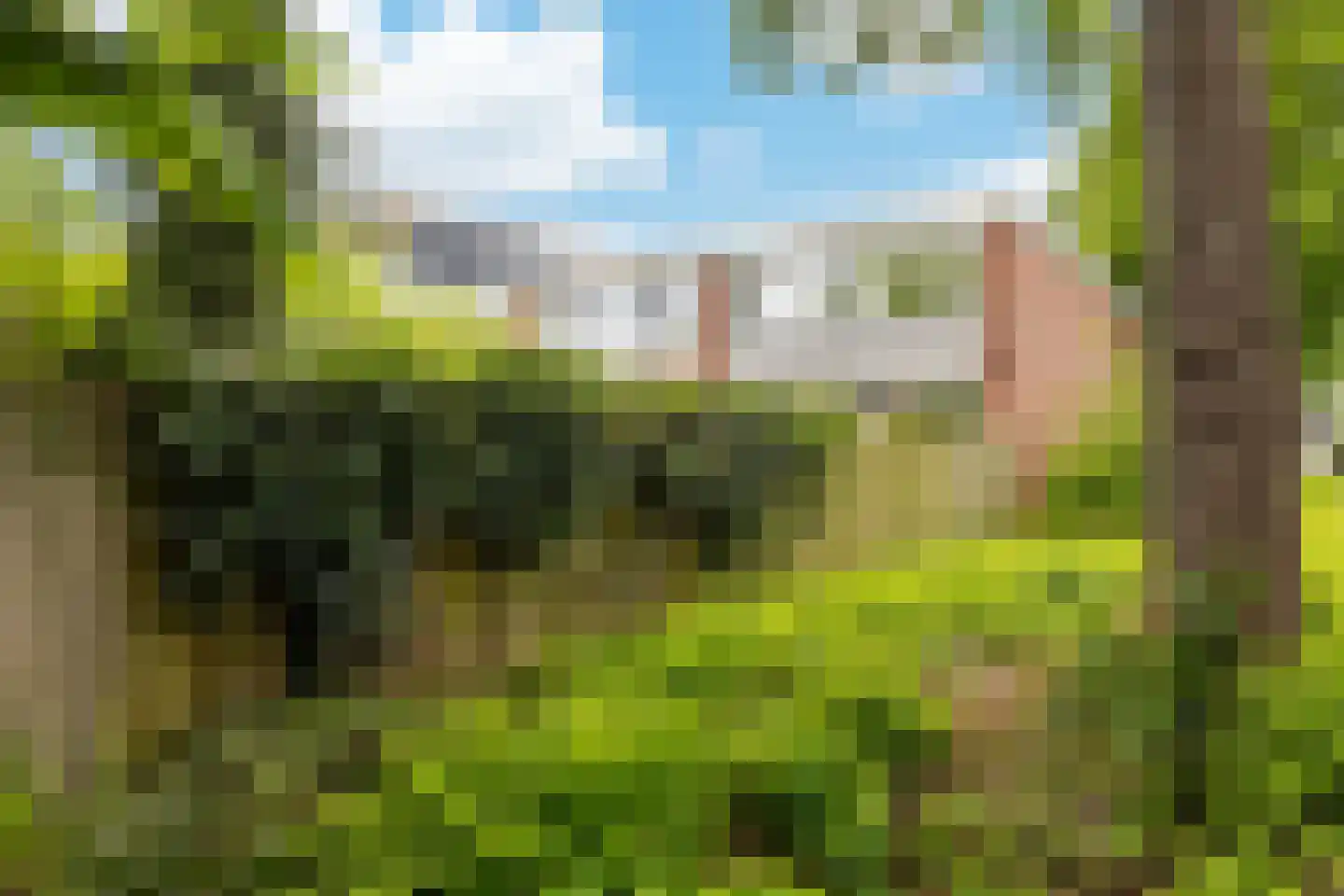 Zandkamp 101 Hoogland thumbnail 37
