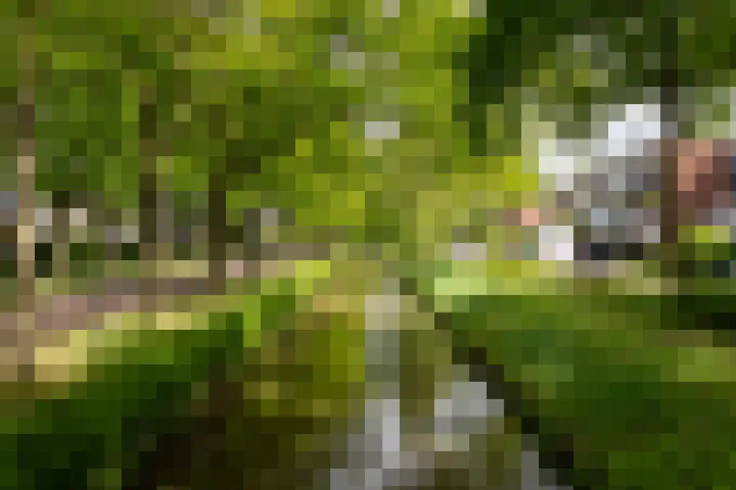 Zandkamp 101 Hoogland thumbnail 39