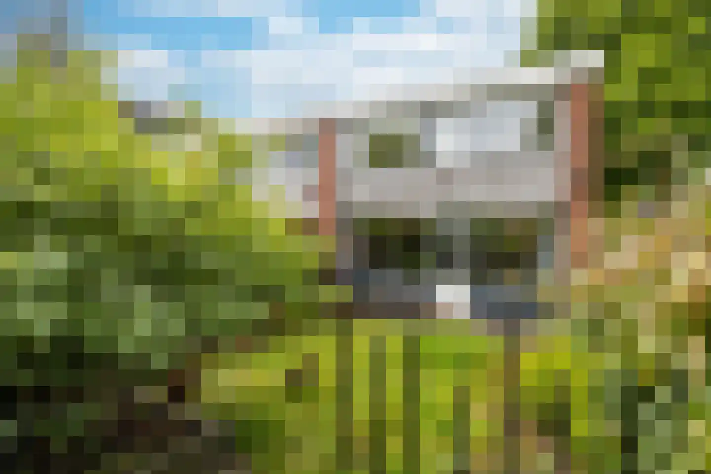 Zandkamp 101 Hoogland thumbnail 5