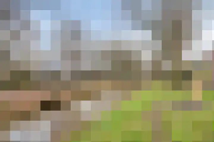 Zandkamp 183 Hoogland thumbnail 37