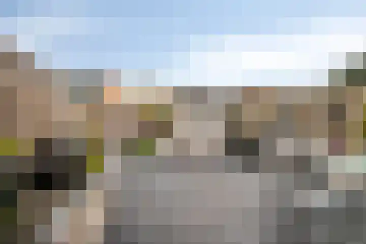 Zandkamp 183 Hoogland thumbnail 4
