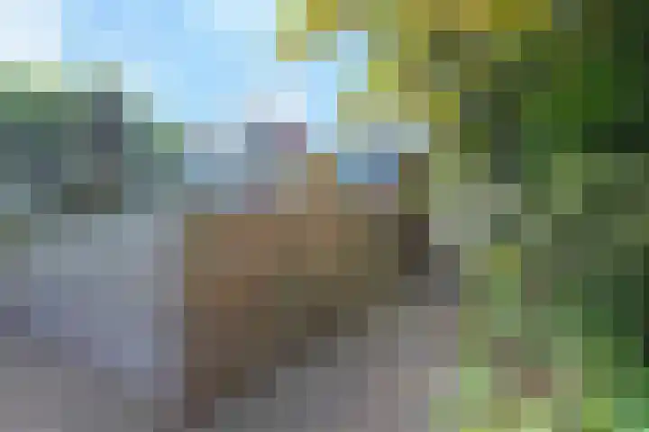 Zandkamp 197 Hoogland thumbnail 42