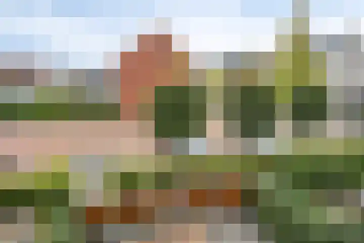 Zandkamp 2 Bunschoten-Spakenburg thumbnail 24