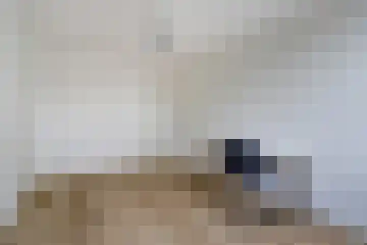 Zandkamp 244 Hoogland thumbnail 27