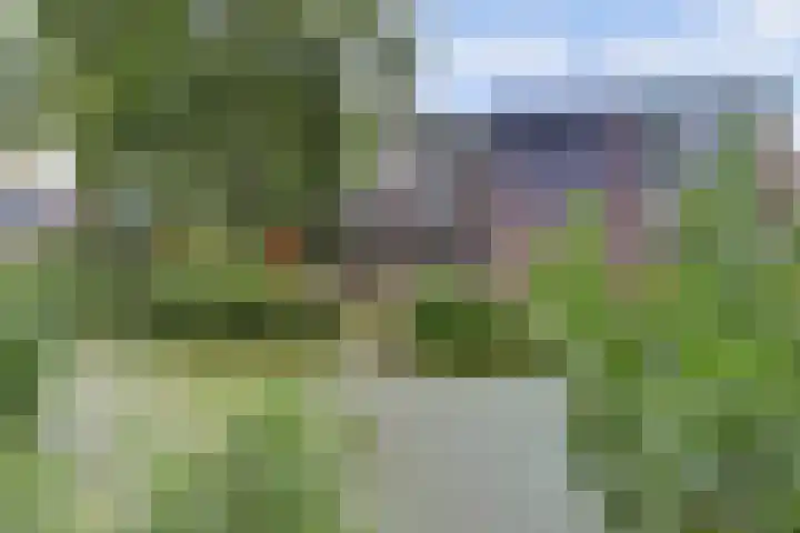 Zandkamp 244 Hoogland thumbnail 6