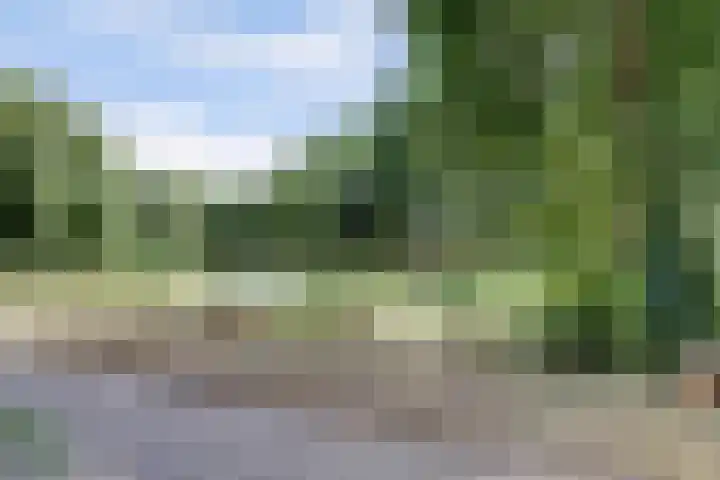 Zandkamp 244 Hoogland thumbnail 60