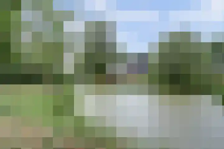 Zandkamp 244 Hoogland thumbnail 7