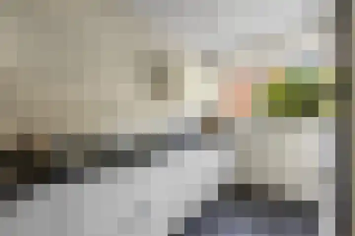 Zandkamp 27 Hoogland thumbnail 10