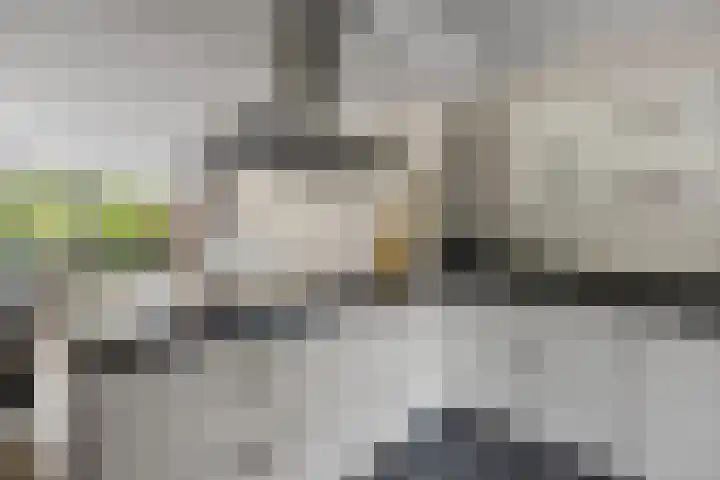 Zandkamp 27 Hoogland thumbnail 12