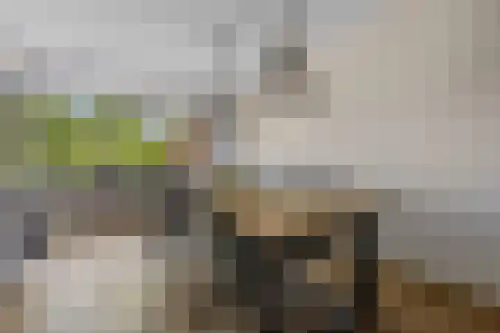 Zandkamp 27 Hoogland thumbnail 16