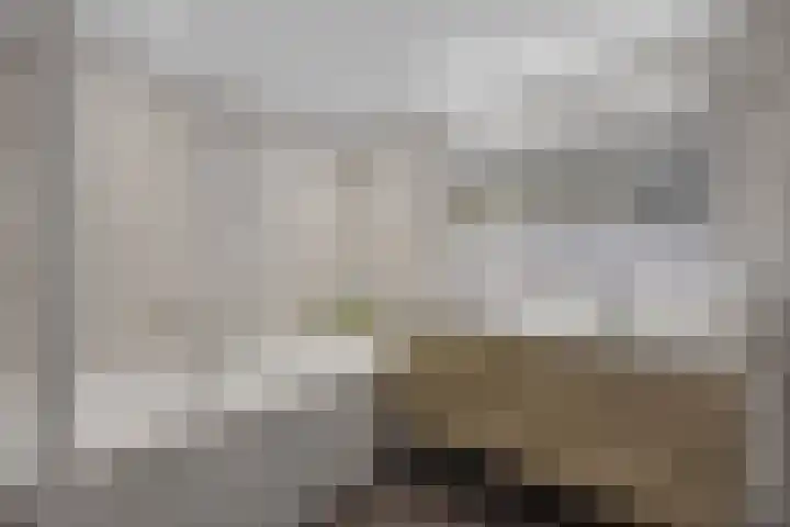 Zandkamp 27 Hoogland thumbnail 26
