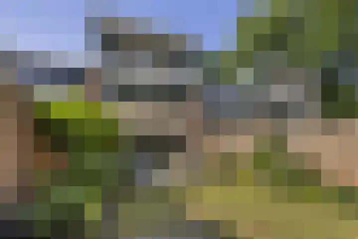 Zandkamp 27 Hoogland thumbnail 35