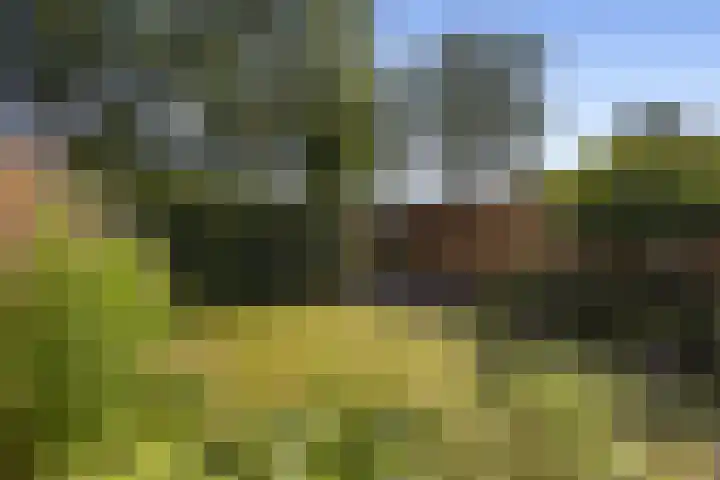 Zandkamp 27 Hoogland thumbnail 39