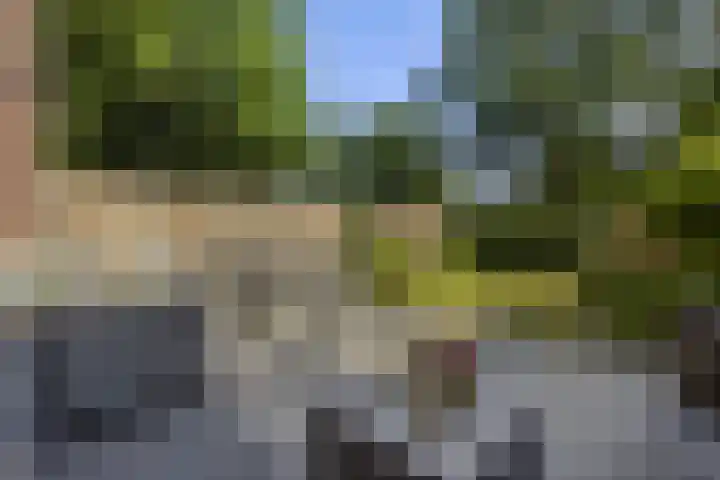 Zandkamp 27 Hoogland thumbnail 4