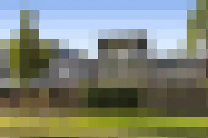 Zandkamp 27 Hoogland thumbnail 41