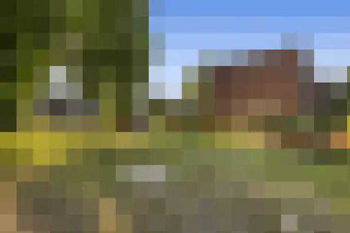 Zandkamp 27 Hoogland thumbnail 43