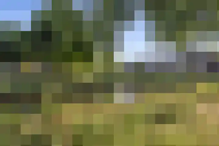 Zandkamp 27 Hoogland thumbnail 44