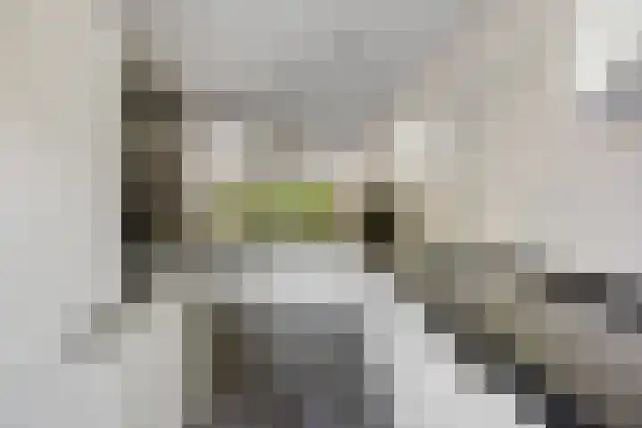Zandkamp 27 Hoogland thumbnail 9