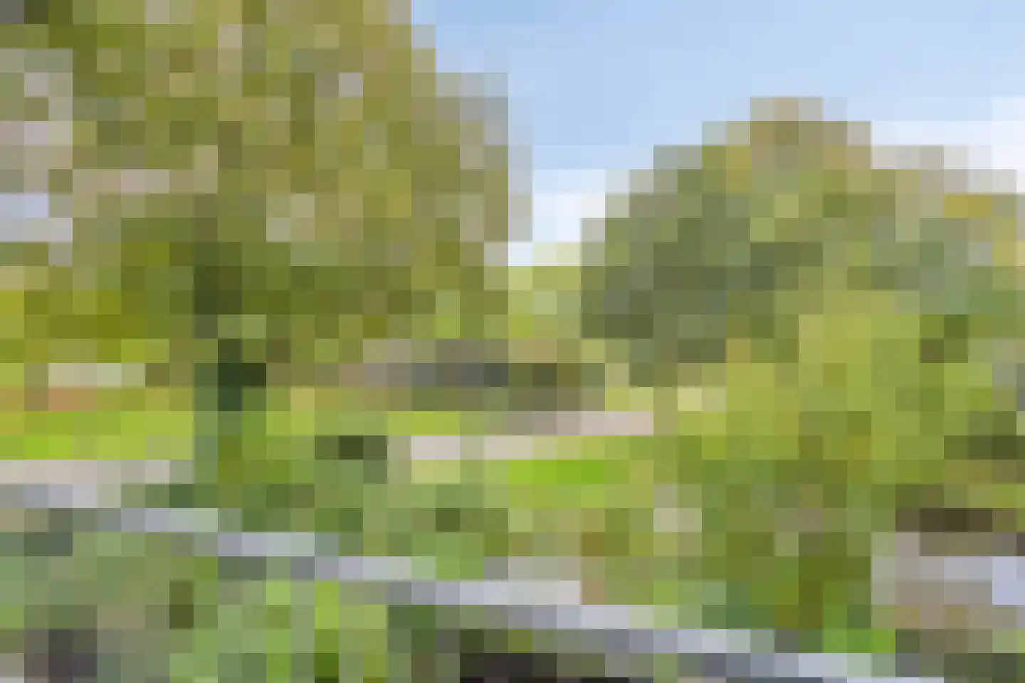 Zandkamp 295 Hoogland thumbnail 32