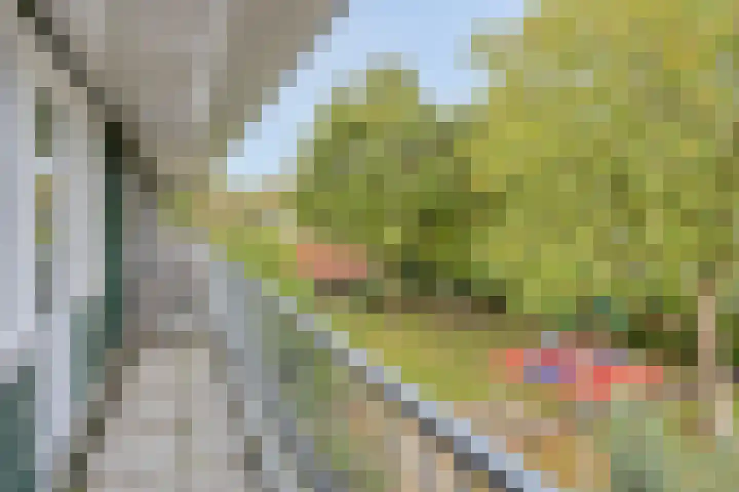 Zandkamp 295 Hoogland thumbnail 39