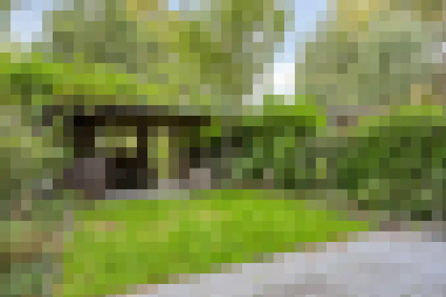 Zandkamp 295 Hoogland thumbnail 42
