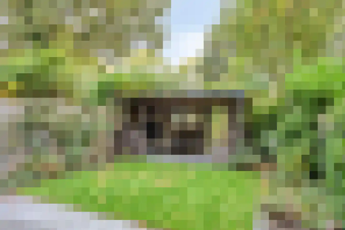 Zandkamp 295 Hoogland thumbnail 43