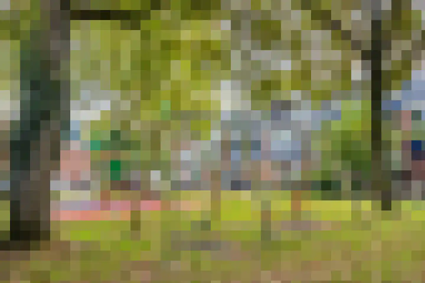Zandkamp 295 Hoogland thumbnail 44