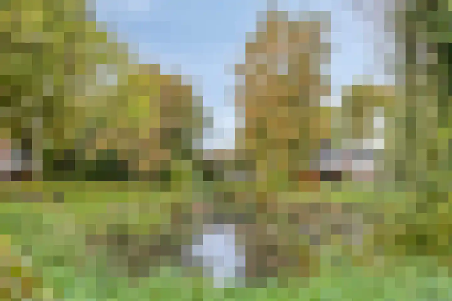 Zandkamp 295 Hoogland thumbnail 46
