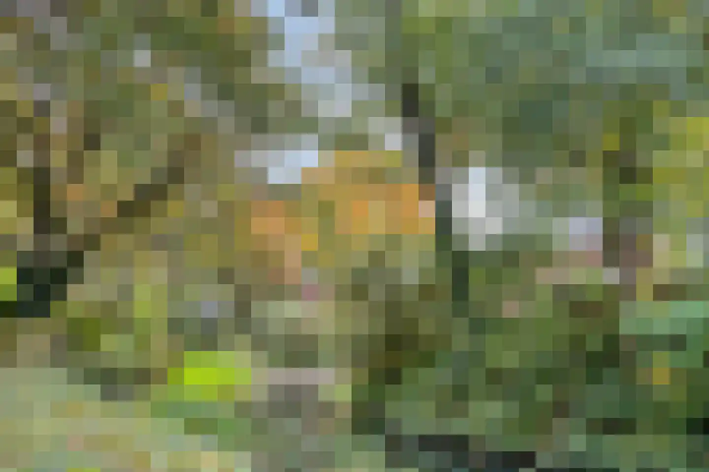 Zandkamp 295 Hoogland thumbnail 47