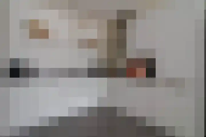 Zandkamp 4 Bunschoten-Spakenburg thumbnail 7