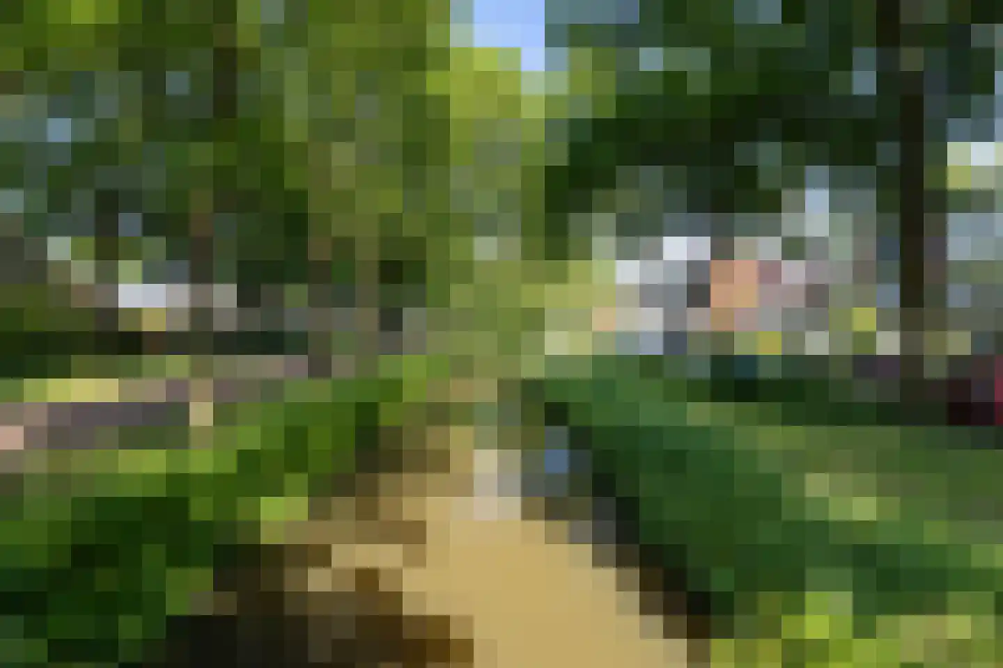 Zandkamp 72 Hoogland thumbnail 46
