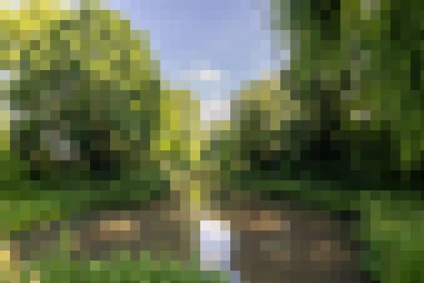 Zandkamp 72 Hoogland thumbnail 48