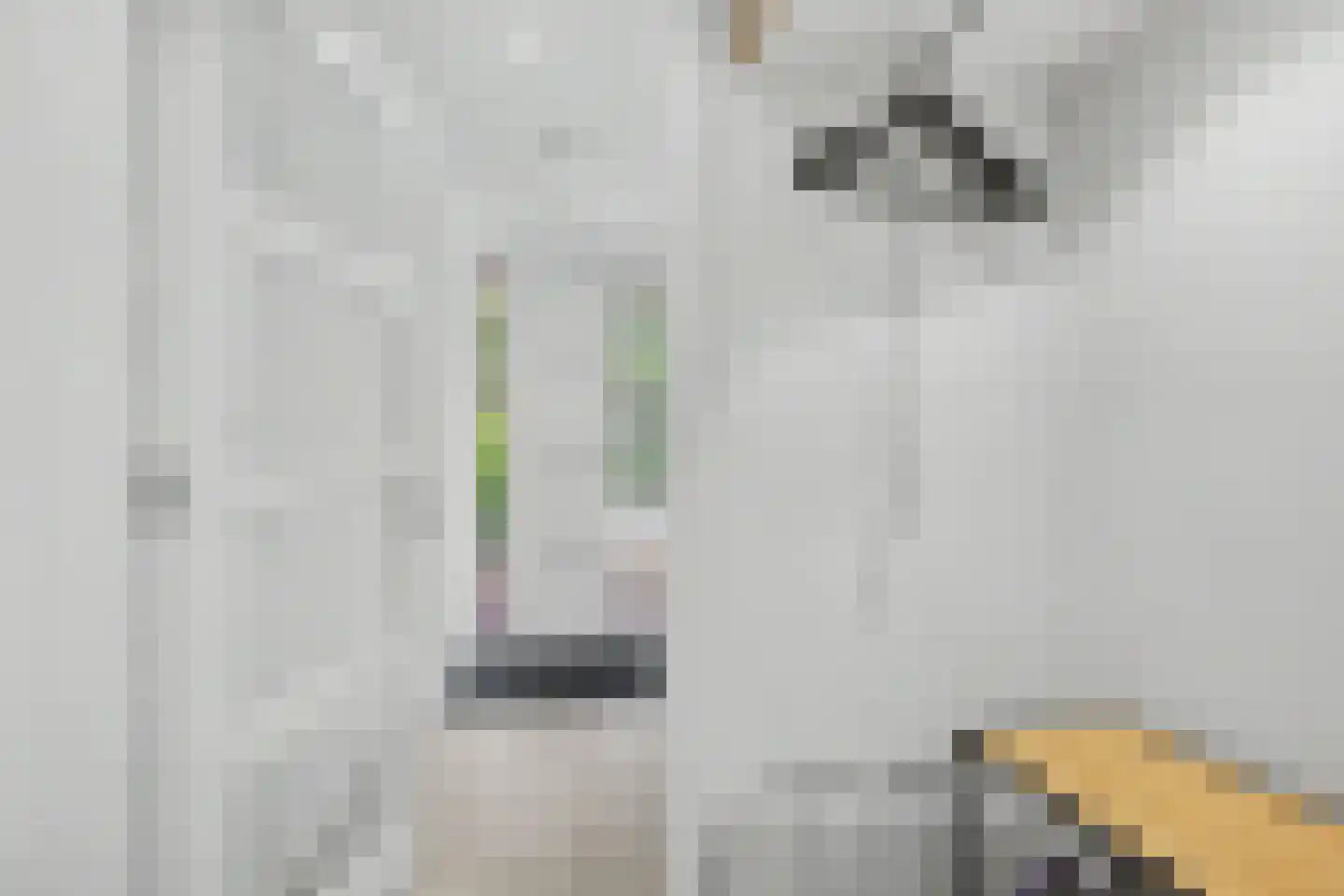 Zandkamp 72 Hoogland thumbnail 8