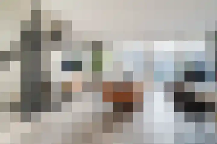 Zandkamp 8 Hoogland thumbnail 4