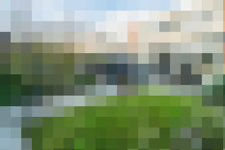 Zandkamp 8 Hoogland thumbnail 41