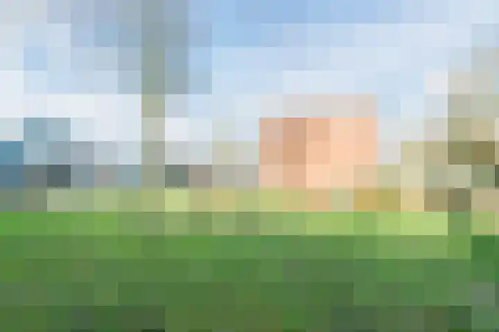 Zandkamp 8 Hoogland thumbnail 47