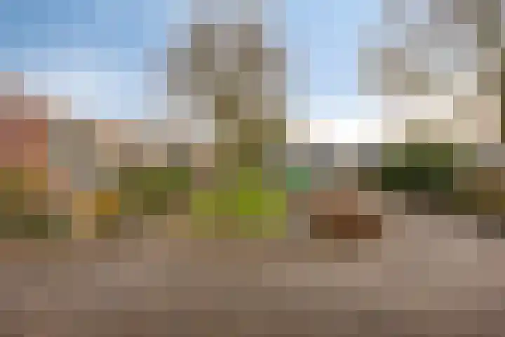 Zandkamp 97 Hoogland thumbnail 19