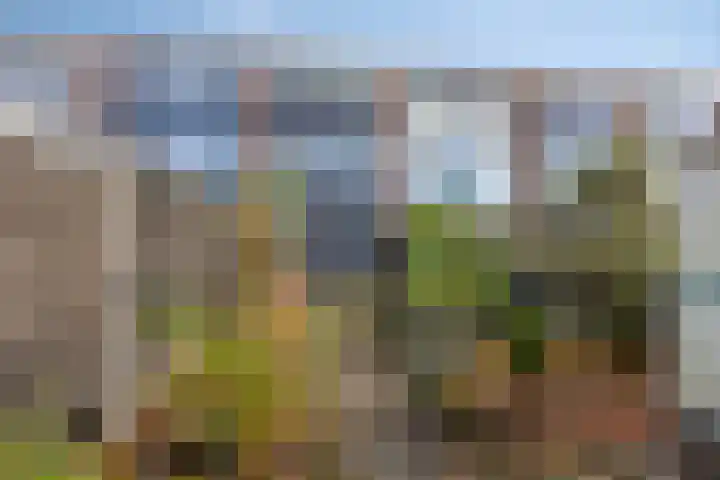Zandkamp 97 Hoogland thumbnail 36