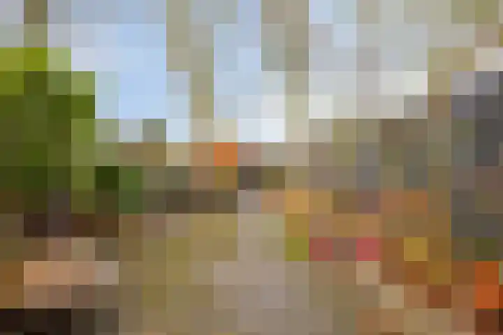 Zandkamp 97 Hoogland thumbnail 38