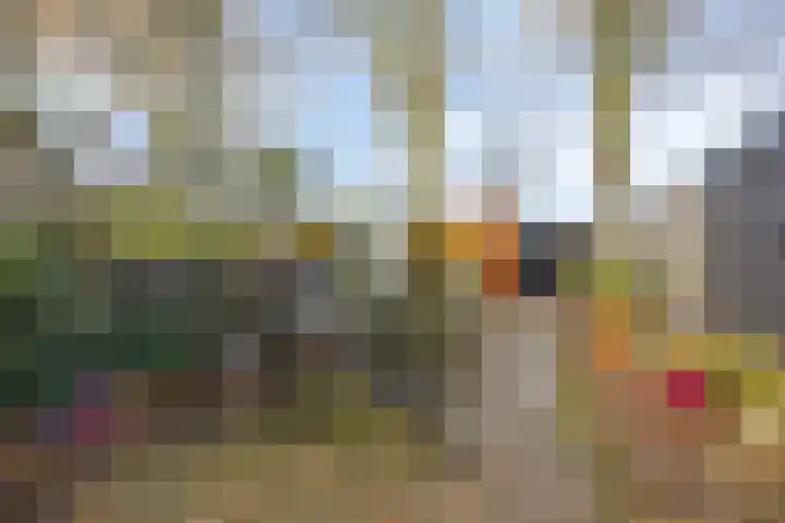 Zandkamp 97 Hoogland thumbnail 39