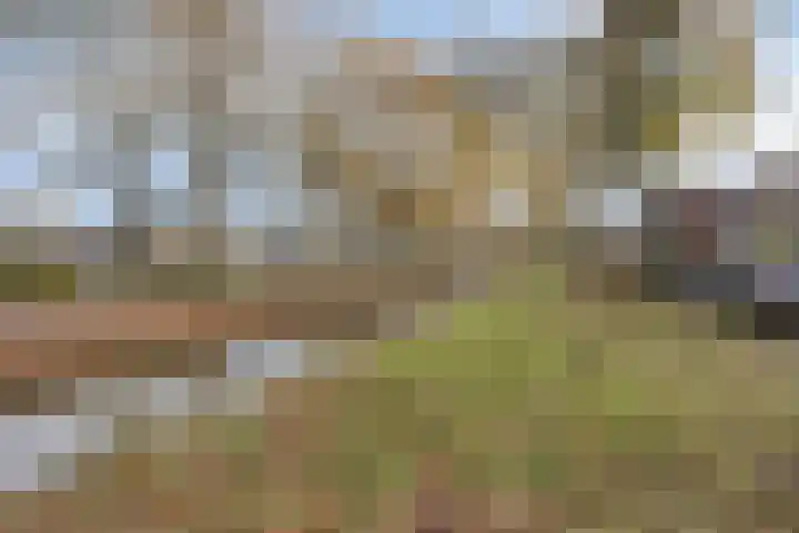 Zandkamp 97 Hoogland thumbnail 42