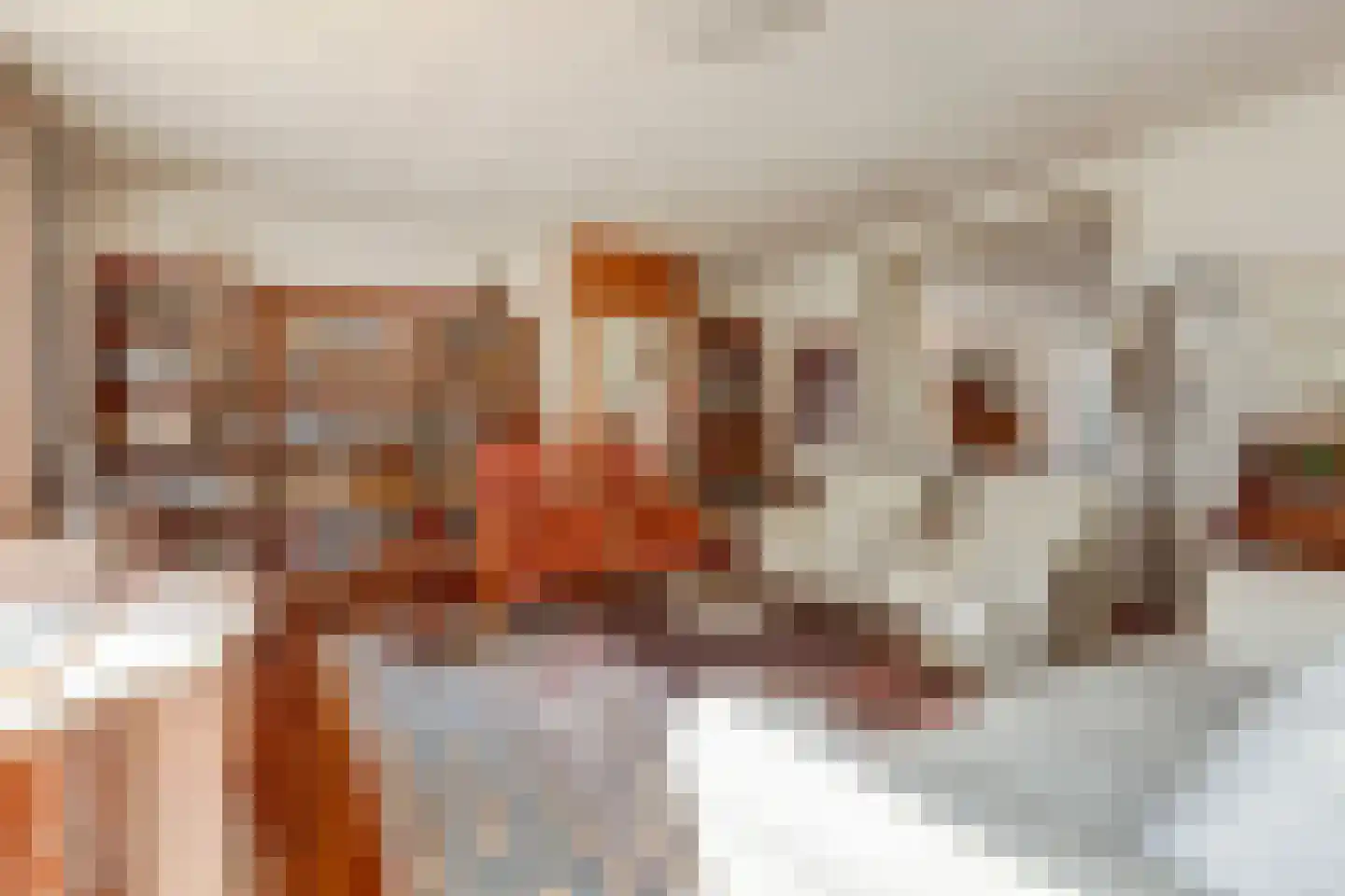 Zandkampen 11 Cuijk thumbnail 11