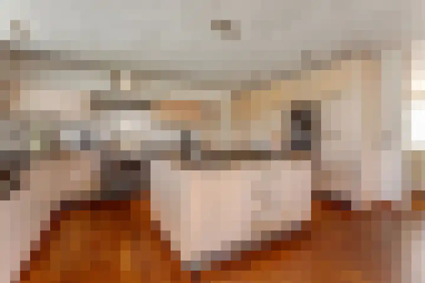 Zandkampen 11 Cuijk thumbnail 22