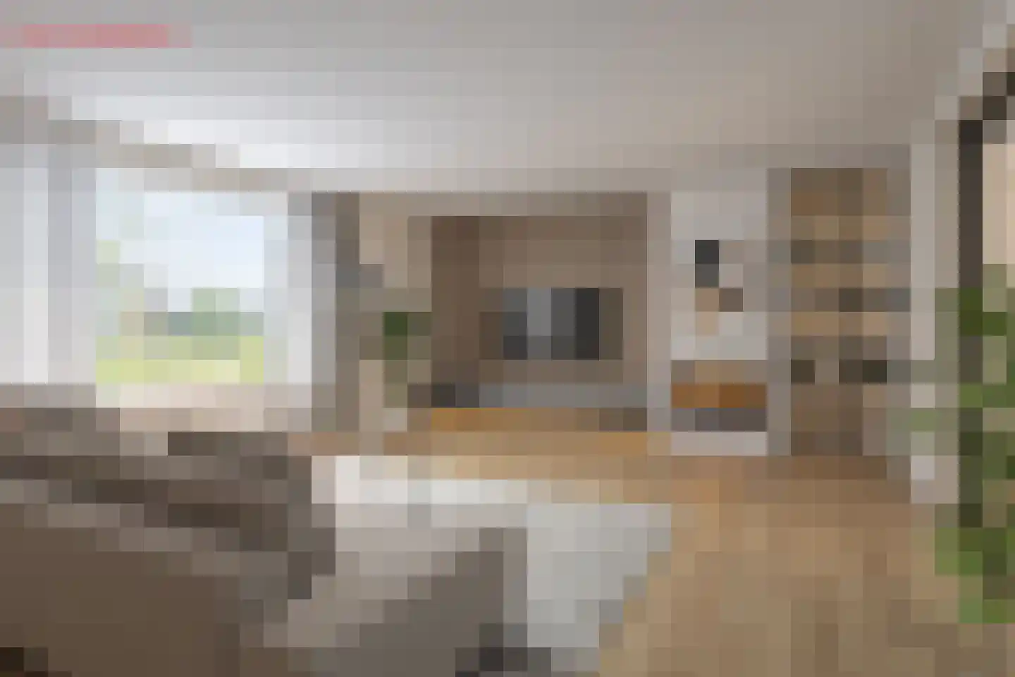 Zandkampen 11 Cuijk thumbnail 4