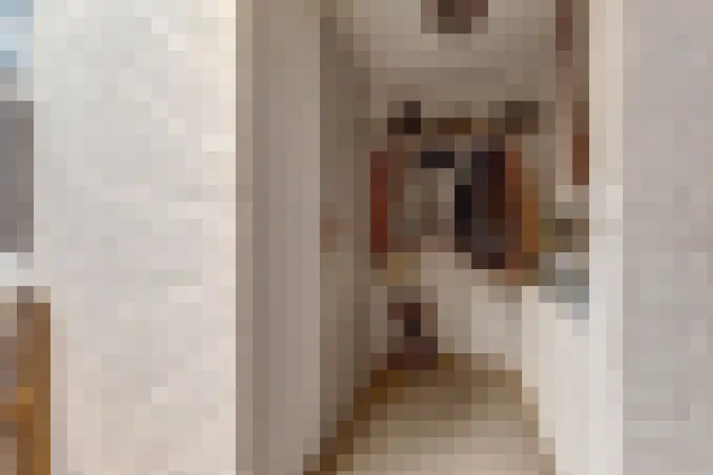 Zandkampen 11 Cuijk thumbnail 5