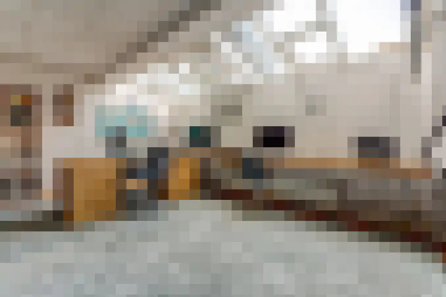 Zandkampen 11 Cuijk thumbnail 54