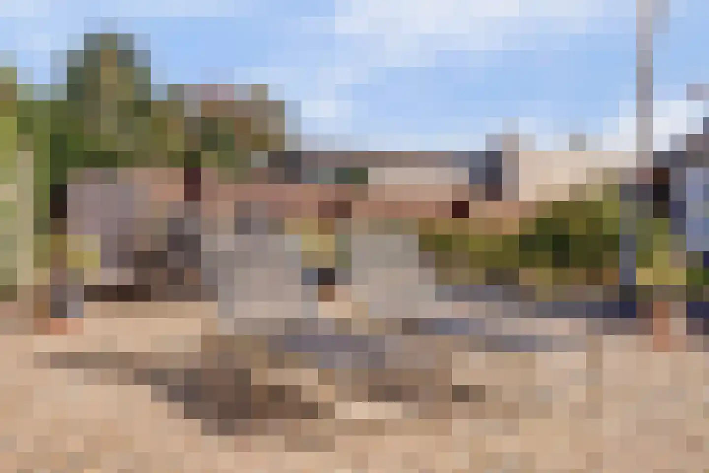 Zandkampen 11 Cuijk thumbnail 63