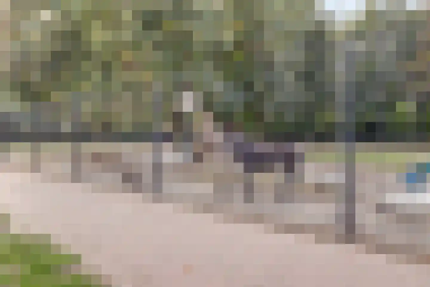 Zandkampen 11 Cuijk thumbnail 78