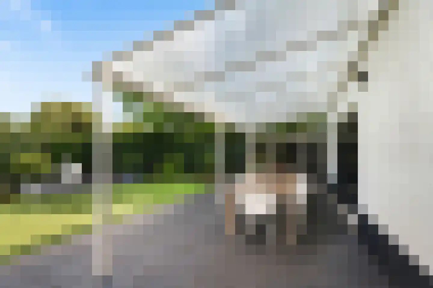 Zandkampke 9 's-Hertogenbosch thumbnail 36